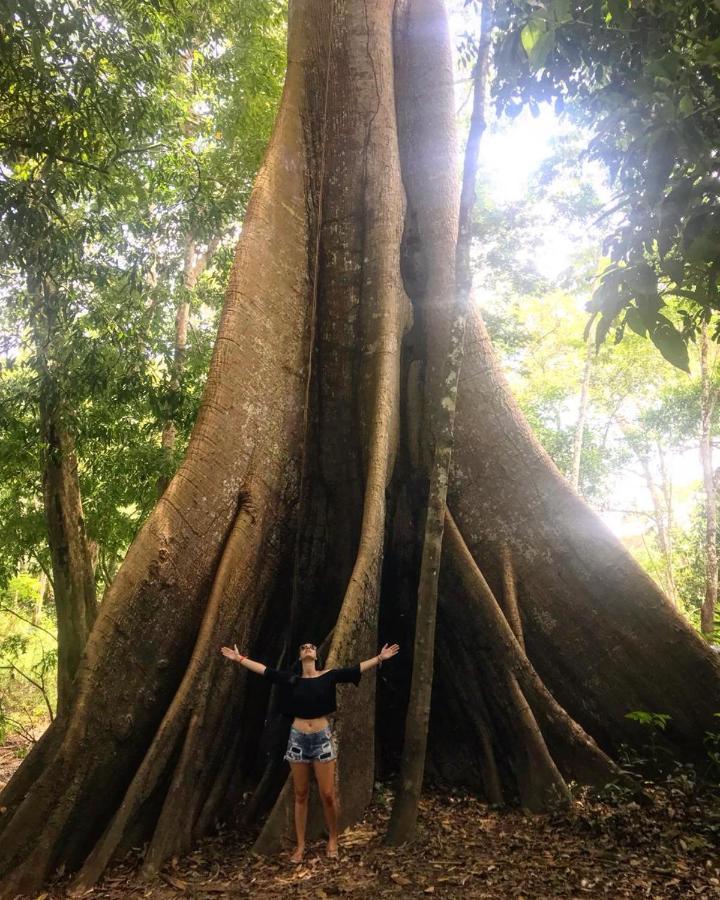Amazonia Lodge Exxperience Paricatuba 外观 照片