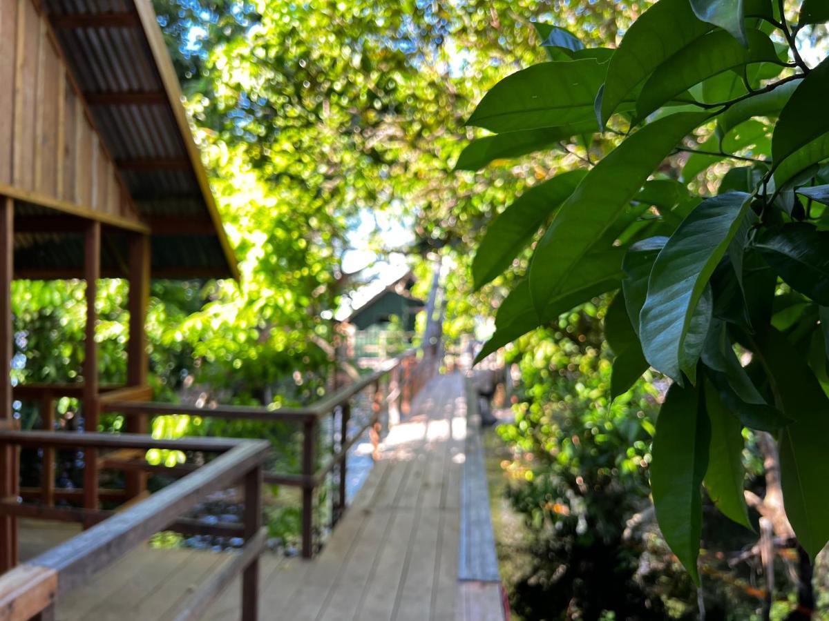 Amazonia Lodge Exxperience Paricatuba 外观 照片
